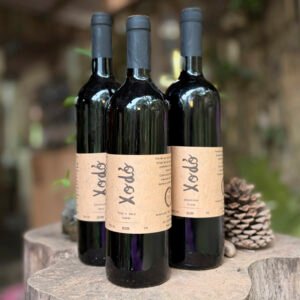 VINHOS e FERMENTADOS